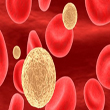linfocitos-20121228-size-598