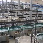 aquacultura_pesca_pt