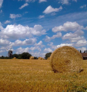 Visão a longo prazo para as zonas rurais da UE: mais fortes, ligadas, resilientes e prósperas