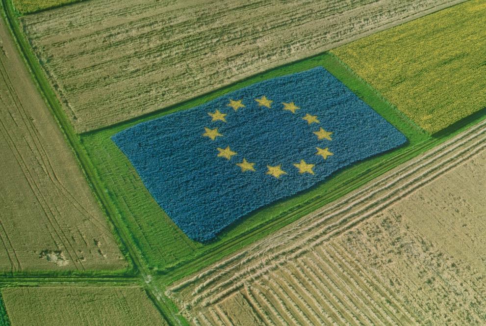 Pacto Ecológico Europeu: Comissão adota novas propostas para travar desflorestação, inovar gestão sustentável de resíduos e tornar solos mais saudáveis em prol das pessoa