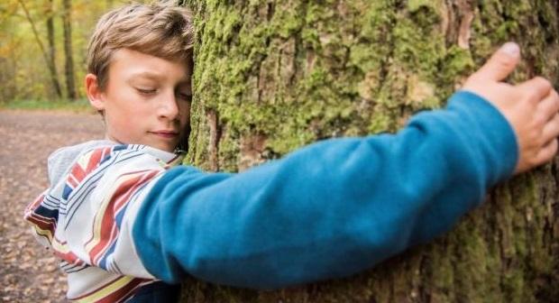 Pacto Ecológico Europeu: acabar com as embalagens desnecessárias, promover reutilização e reciclagem e certificar remoções de carbono